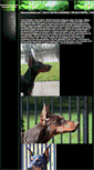 Mobile Screenshot of dobermansullinger.com